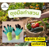 ราคา ถุงมือทำสวน ใส่ปลูกต้น ทำสวน (20769458036)