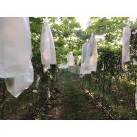 ราคา ถุงห่อมะระกันแดด 2 กิโลกรัม 6x23นิ้ว บรรจุประมาณ 300 330 ใบ กันแมลงวันทองได้ มีรูระบายอากาศ 3 จุด สามารถนำกลับมาใช้งานซ้ำได ยอดขายดีอันดับ 1 (5604276659)