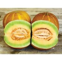 ราคา เมล็ดพันธุ์ แตงไท แตงไทย แตงไทยผลกลม 30 320 เมล็ด 10 แถม 1 คละได้ (21086074881)