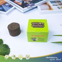 ราคา พีทมอสอัดก้อน พีทมอสวัสดุเพาะกล้า (14926687205)