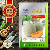 ราคา เมล็ดพันธุ์ เมล่อนแค็ท 1กรัม เมล็ด ต้นไม้ เมล็ดผัก เมล็ดดอกไม้ ดอกไม้ ผัก ผักสวนครัว สลัด เมล็ดพันธุ์พืช (10038656781)