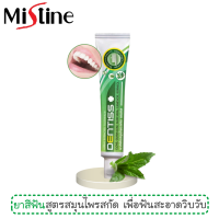 ราคา ยาสีฟัน มิสทีน เดนทิสส์ 40 กรัม Mistine Dentiss Herbal Extracted Toothpaste 40 g (6721930018)