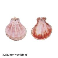 ราคา จี้หอยสังข์ธรรมชาติ Natural conch pendant Gold and silver plated (20050293871)