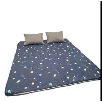 ราคา ที่นอนปิคนิค ขนาด3 5ฟุต 5ฟุตและ 6ฟุต ผ้าคอตตอน 100 (19454344050)