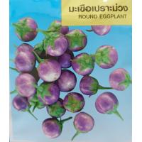 ราคา เมล็ดพันธุ์ มะเขือ มะระ มะเขือเทศ ทุกชนิด เมล็ดผักสวนครัว เมล็ดมะเขือ มะระขี้นก มะระจีน มะเขือเปราะ มะเขือพวง มะเขือยาว (20962571897)