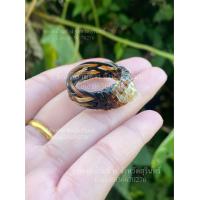 ราคา แหวนหางช้าง แหวนปลอกเก้าถักหัว หางช้างผสมสามสี รับประกันหางแท้100 (21121903969)