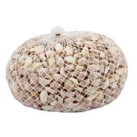 ราคา กระเทียมไทย แกะกลีบ 1 กิโลกรัม รหัส 835420 (19837936029)