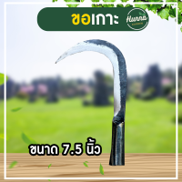 ราคา มีดขอชัก มีดชักตอง มีดขอชัก มีดขอสอยไม้ มีดขอตอง ตะขอเกี่ยวกิ่งไม้ มีดขอ มีดขอสอยไม้ มีดขอเกี่ยวกิ่งไม้ ตัดแต่งกิ่ง (20019507978)