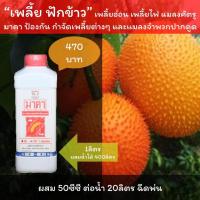 ราคา ยาฆ่าเพลี้ยฟักข้าว มาคา สารอินทรีย์ คุณภาพสูง ปลอดภัย ฟักข้าวใบหงิก เพลี้ยไฟฟักข้าว เพลี้ย ฟักข้าว เพลี้ยต่างๆ (10338521723)