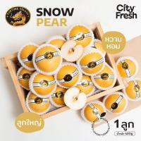 ราคา CityFresh สาลี่หิมะ Fortune Dragon สินค้านำเข้า (15929680649)