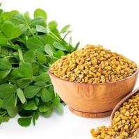 ราคา Methi Seed Fenugreek ฟานัลกรีก เมล็ดลูกซัด (19943725612)