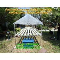 ราคา พลาสติก150 ไมครอน หน้ากว้าง 2 2 5 เเละ 3 เมตร ความยาว 5 15 เมตร สีใส พลาสติกโรงเรือน Green House UV 7 คลุมหลังคา ปูบ่อ กันสาด พลาสติกโรงเรือน พลาสติก (16124869399)