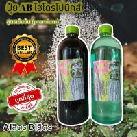 ราคา ปุ๋ยไฮโดรโปนิกส์ ปุ๋ยAB ปุ๋ยน้ำ ปุ๋ยผักสลัด สำหรับปลูกผัก Hydroponics ขนาด1000ML New สูตรเข้มข้น (16814237037)