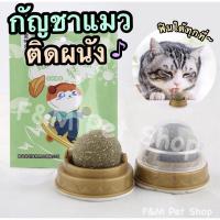 ราคา ขายดี กัญชาแมวติดผนัง Catnip กัญชาแมวอบแห้ง (14773263755)
