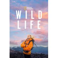 ราคา แผ่น DVD หนังใหม่ Wild Life 2023 เสียง อังกฤษ ซับ ไทย อังกฤษ หนัง ดีวีดี (19574087936)