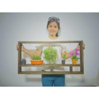 ราคา ชั้นวางต้นไม้ติดผนัง ชั้นวางติดผนัง ชั้นวางแคคตัส (7114050924)