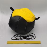 ราคา Medicine Ball Exercise Wall Ball Core Training at Home Gym Or Outdoor 35cm Fitness Slam Balls (13371743578)