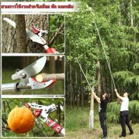 ราคา กรรไกรตัดหนีบผลไม้ด้ามยาว เสายืดไสลด์โลหะผสมอลูมิเนียม 1 8 3 ม กรรไกรเก็บผลไม้ เก็บผลไม้จากที่สูง กรรไกรตัดกิ่งไม้ กรรไกรตัดกิ่ง พร้อม ใบเลื่อย กระตุกตัด เลื่อย2in1 SK5 ฟรี ใบเลื่อยตัดกิ่ง (8759302040