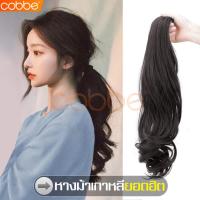 ราคา cobbe ลดราคา วิกผม วิกผมหางม้า วิกผมหางม้าหนีบ วิกผมหางม้าสีน้ำตาลเข้ม วิกผมหางม้าแบบหนีบ หางม้า หางม้ายาว หางม้าลอนยาว หางม้าหนีบ (5422462871)