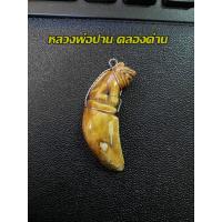 ราคา เขี้ยวหมูแกะ หลวงพ่อปาน วัดคลองด่าน พร้อมเลี่ยมถัก (19485492977)