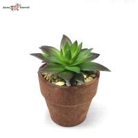ราคา แคคตัสจิ๋วพร้อมกระถาง กระถางต้นไม้ปลอมจิ๋ว Artificial cactus with pot (4251970859)