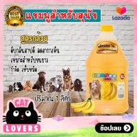 ราคา เพ็ทเฮง แชมพูอาบน้ำหมาเเมว สูตรกล้วยหอม 1 5 ลิตร (13243085908)