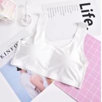 ราคา เสื้อชั้นในผู้หญิง สปอร์ตบรา แบบสวม B014 ชุดชั้นใน ไร้ขอบ ไร้โครง สวมใส่สบาย ฟองน้ำในตัว กระชับทรงสวย (14461056448)