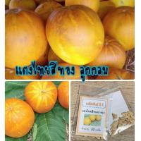 ราคา เมล็ดพันธ์ุ แตงไทยสีทอง ลูกกลม แตงไทย ราคาถูก ปลูกง่าย ปลูกไว้ทานกินเอง 10แถม 1 คละอย่างได้ (9645230817)