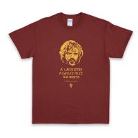 ราคา ย้อนยุคเสื้อยืด พิมพ์ลาย Game of Thrones Tyrion Lannister A Lannister Always Pays His Debts Game of Thrones สําหรับผู้ชาS 5XL (18420225462)