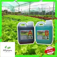 ราคา ปุ๋ยAB ธาตุอาหาร น้ำ ผักไฮโดร Hydroponics ผักสลัด ผักไทย ผักจีน ปลูกพืชไร้ดิน ปลูกผักไฮโดร ส่งฟรี (19311474490)