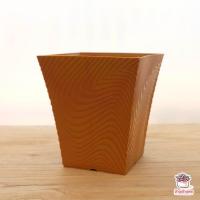 ราคา กระถางม้าลายปากบาน 5 นิ้ว แคคตัส กระบองเพชร ไม้อวบน้ำ Cactus Succulent (4527816675)