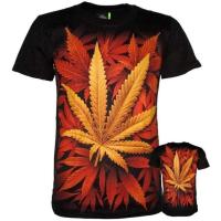 ราคา เสื้อวง GLOW in the DARK Rock Eagle Rock ไซส์ S M L 2023 (19766634250)