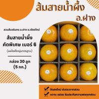 ราคา สวนส้มจรินทร ส้มสายน้ำผึ้ง อ ฝาง คัดพิเศษ ผิวเกลี้ยงสวย ส้มเบอร์ 6 ไซส์ใหญ่ กล่อง 30 ลูก (20149344054)