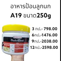 ราคา Nutribird A19 นูทริเบิร์ด อาหารนกลูกป้อน สูตรไขมันและโปรตีนสูง 250g (13360549075)