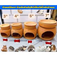 ราคา บ้านแอร์ดินเผาช่วยลดอุณหภูมิ ใส่น้ำแข็งได้ด้านบนได้ บ้านเย็นสำหรับสัตว์เลี้ยง คล้ายร้อนลดอาการเคลียด น้ำแข็ง (17433388287)