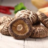 ราคา เห็ดหอมแห้ง ไซส์กลาง 500g (19884423265)