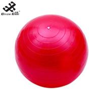 ราคา Circle Cool Pilates Yoga Ball PVC Professional Exercise Ball 45cm Yoga Ball With Pump For Working Out Balance Stability Home Gym (20948751323)