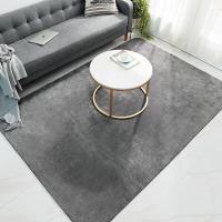 ราคา CATNAP พรมปูพื้น พรมขนนุ่ม สไตล์มินิมอล ขนาด 120x160 cm 140x200 cm 160x230 cm (20720428545)