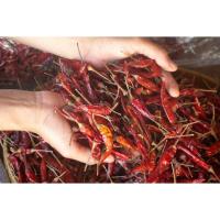 ราคา พริกจินดา พริกแห้ง เผ็ด สะอาด พริกแห้งศรีสะเกษแท้ ทำพริกป่น พริกส้มตำ ขนาด 500 1000 กรัม ผลิตพรรณชาวบ้าน ศรีสะเกษ (21085721553)