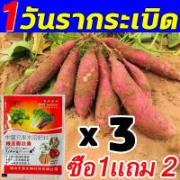 ราคา ถากเปลือกรักษาแผลต้นทุเรียน เหล็กขูดต้นไม้ พร้อมใบมีด 3 แบบ พกพาติดตัว เหล็กขูด รักษาทุเรียนรากเน่าโคนเน่า เหล็กขูดต้นทุเรียน ถากเปลือกที่เป็นโรคออก กำจัดเชื้อรา ที่ขูดต้นทุเรียน สะดวกในการขูด ดีกว่าเ