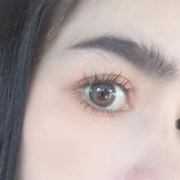 ราคา Funny gray by wink สีเทาละมุนใส่สวย ตาหวาน (7170110853)