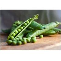 ราคา เมล็ดถั่วลันเตาหวานเขียว บรรจุซอง20เมล็ด (11545605436)