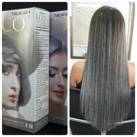 ราคา Berina เบอริน่า ครีมย้อมผมเนียร่า เอโค่ ขนาด 110 มล (13702912384)