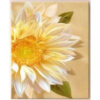 ราคา ภาพวาดขนาด40X50ซม พร้อมตัวเลขสำหรับการวาดภาพงานฝีมือรูปภาพตกแต่งบ้านตกแต่งภายในดอกโบตั๋นแสงจันทร์ (20712971785)