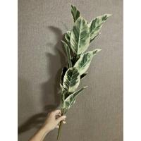 ราคา ถูกที่สุด ต้นไม้ปลอม ต้นไทรใบสัก สูง 70 พร้อมกระถางดำ ราคาดีที่สุดในLAZADA ต้นไทรใบสักปลอม ต้นไม้เสมือนจริง (9426949580)