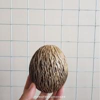 ราคา ลูกตีนเป็ด ขายเป็นลูกเดี่ยวๆ (17297869252)