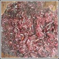 ราคา ข้าวเหนียวมูนข้าวเหนียวมูนสีดำ ข้าวเหนียวกลิ่นหอมหวลเหนียวนุ่ม รสชาดหวานมันกำลังดี บรรจุ 1000 กรัม แพ็ค (21042788292)