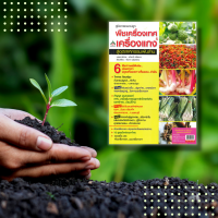 ราคา หนังสือ พืชเครื่องเทศ เครื่องแกง 10 สูตรน้ำพริกแกงไทย ตลาดซื้อ ขาย พืชเครื่องเทศ และเครื่องแกง (14859946541)