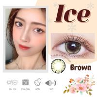 ราคา คอนแทคเลนส์ Ice Gray Brown ยี่ห้อ Gaezz Secret ค่าสายตาปกติ 1000 คล้ายรุ่น Holla Tommy Shimmer (19657677659)