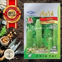 ราคา เมล็ดพันธุ์ มะระจีนเพชรแพร 10เมล็ด เมล็ด ต้นไม้ เมล็ดผัก เมล็ดดอกไม้ ดอกไม้ ผัก ผักสวนครัว สลัด เมล็ดพันธุ์พืช (10038817051)
